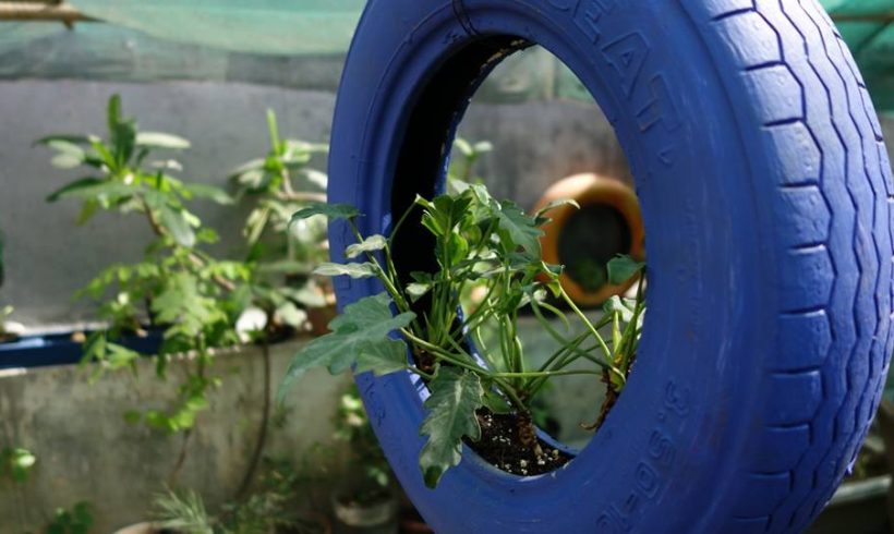 Monthly Mixer at Swechha Remakery – Session 1