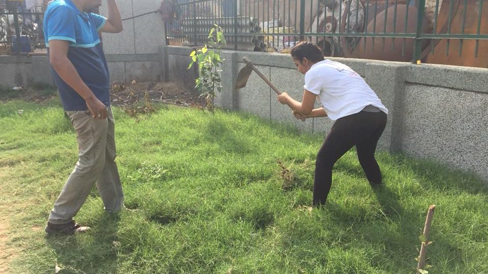 36710991_10155791735192896_6498986324366721024_n