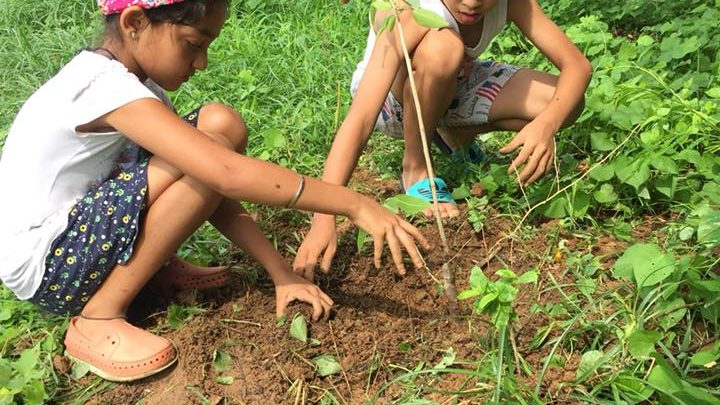 37177562_10155814311437896_4825368020157202432_n