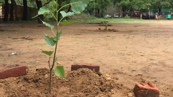 37180613_10155814311497896_7474294584638439424_n