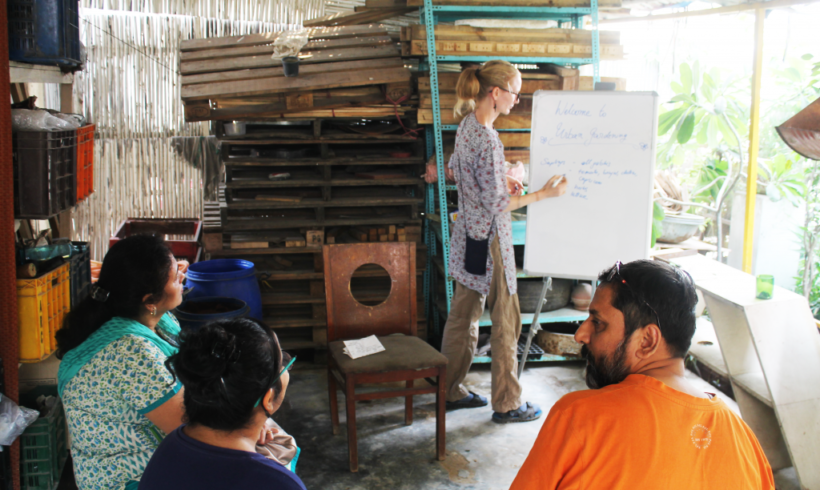 Urban Gardening – Grow Your Own Food Workshops