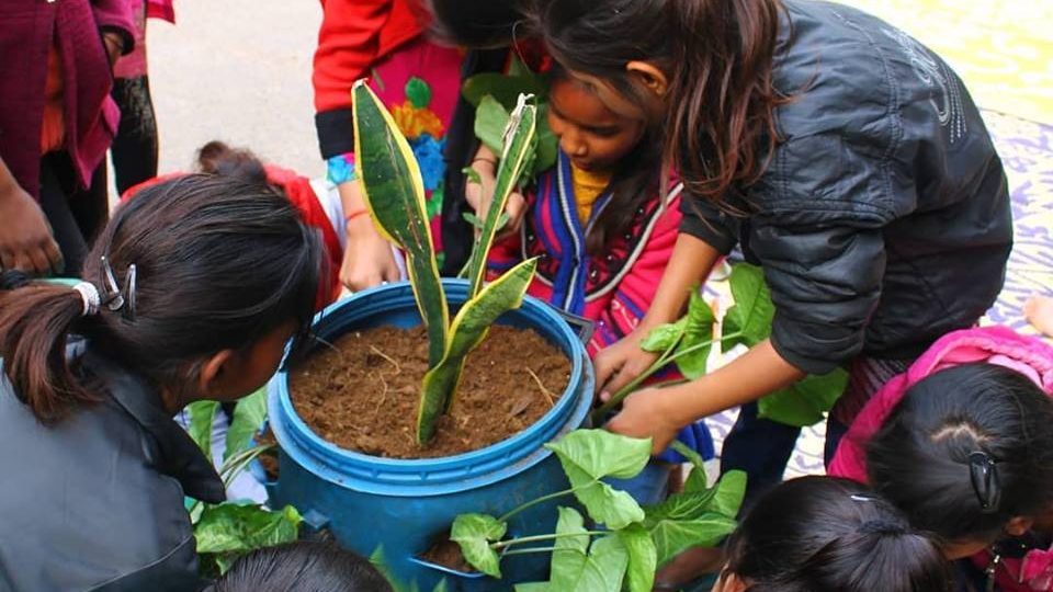 50324133_10156219991212896_7800403402655006720_n