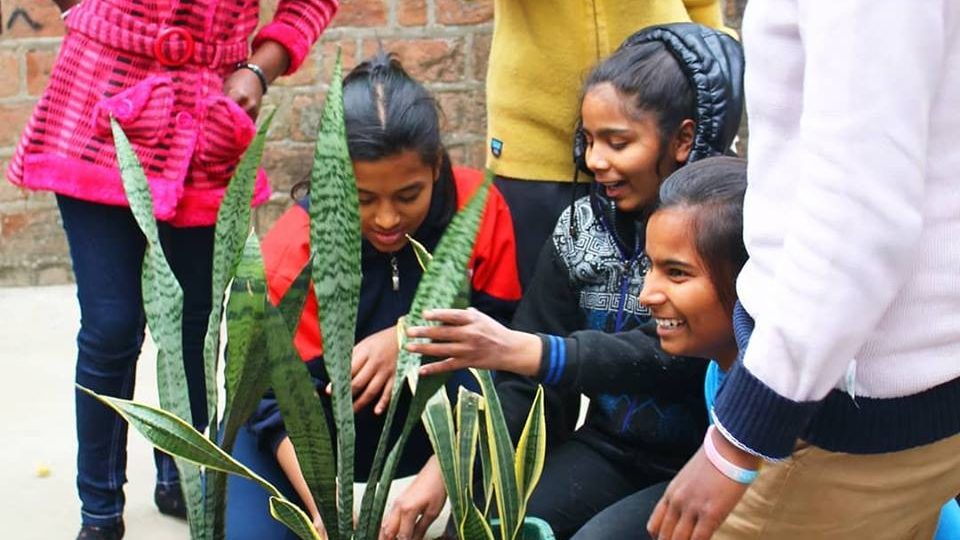 51124321_10156254461802896_4183013510231359488_n