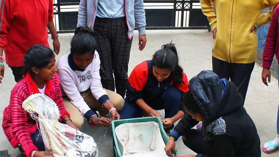 51451747_10156254461662896_7475877675224006656_n