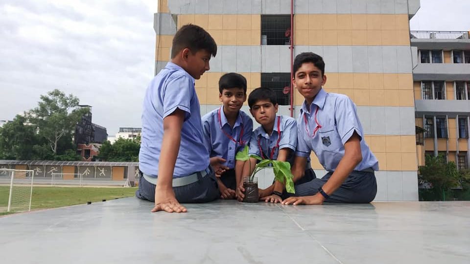 67837115_10156686289382896_8352273762086813696_n