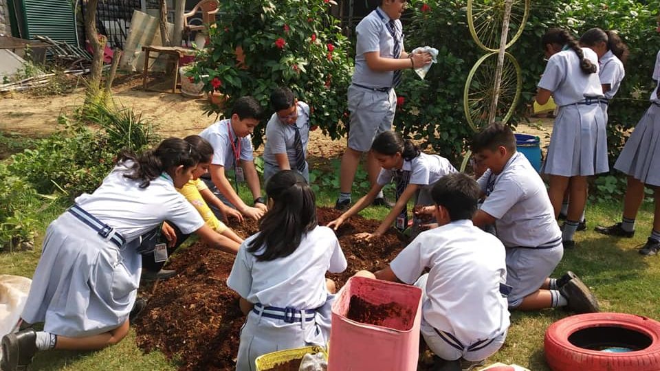 72765908_10156853903647896_2223135833311936512_n