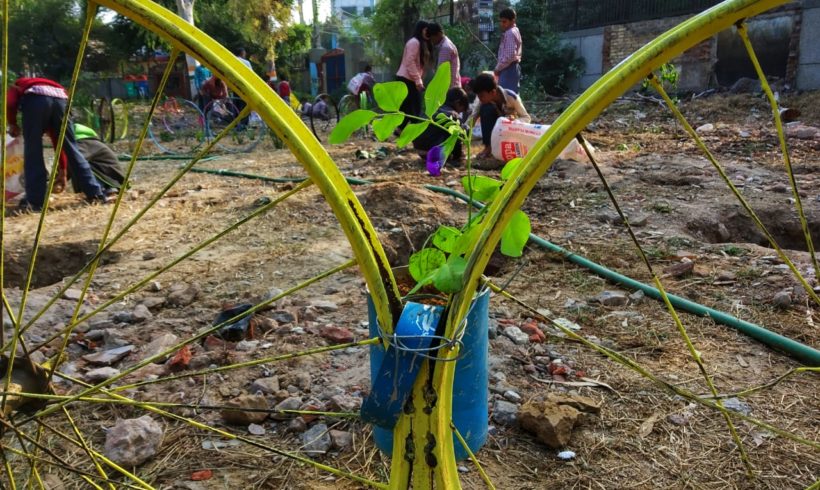 Greening Schools Program with Amazon India