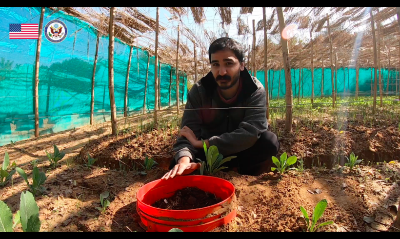 DIY Masterclass #2 – Vermicomposting & Managing Kitchen Waste