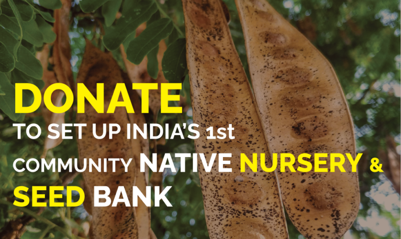 Help us develop India’s First Community Native Nursery! Contribute today