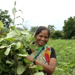 WOMEN AND NON-TRADITIONAL LIVELIHOOD