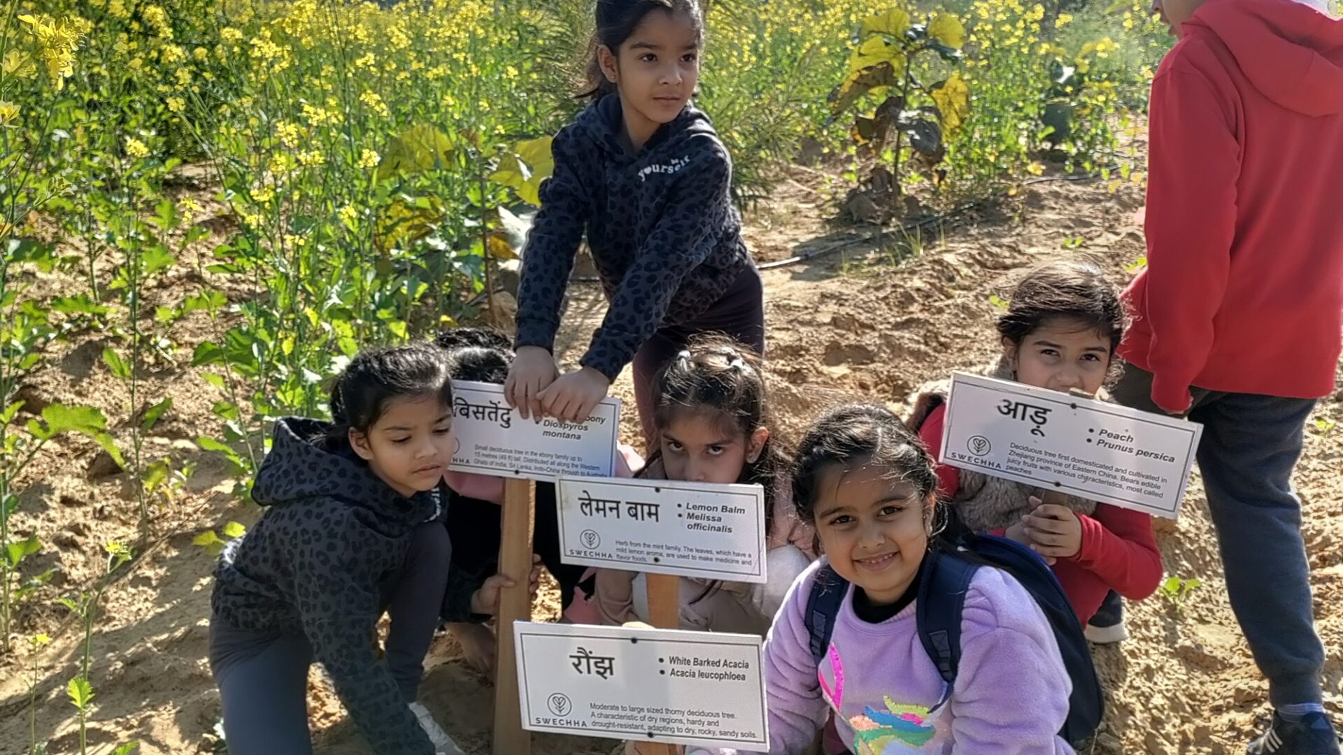 IMG_20221228_135713 (1)