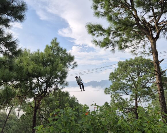 NatureScapes Sirmaur Camp