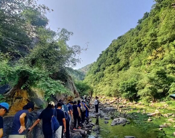 NatureScapes Sariska Camp