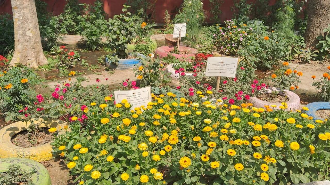 IMG-20240310-WA0019 (1)