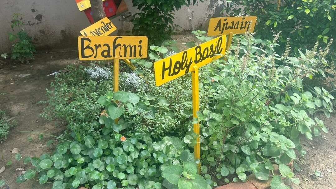 Screenshot_20240913-131106